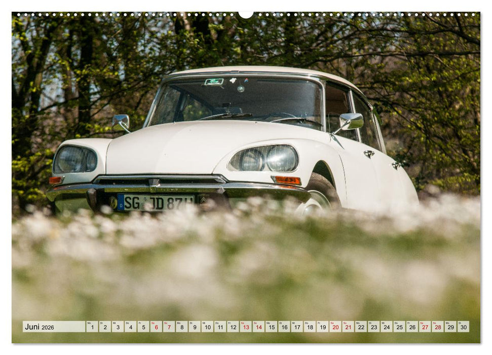 Citroën D Model – Märchenhafte Déesse (CALVENDO Wandkalender 2026)