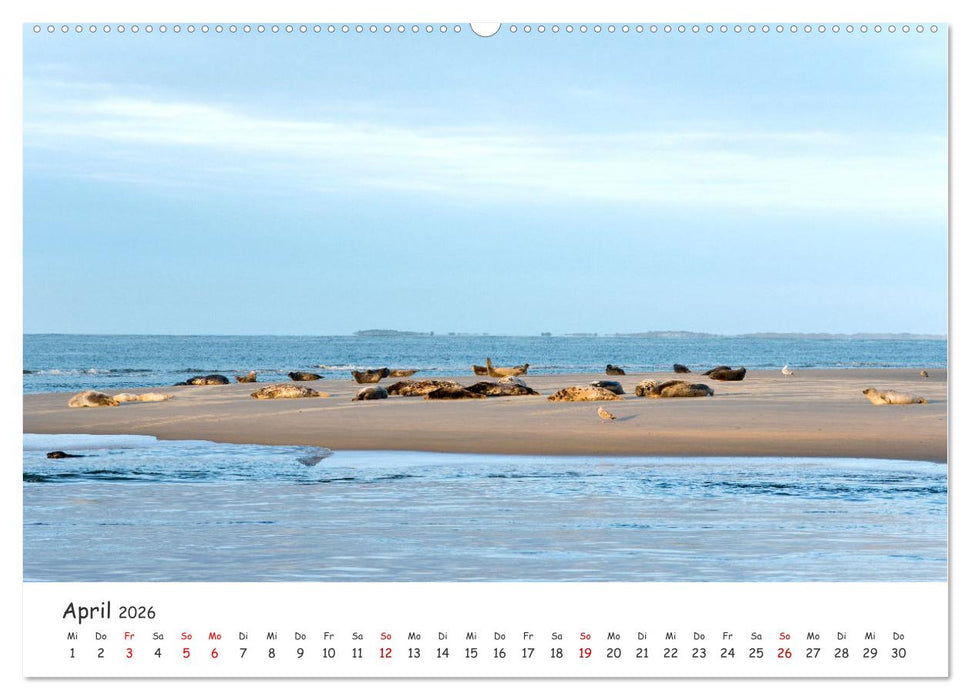 Borkum: Streifzüge über die Nordseeinsel (CALVENDO Wandkalender 2026)