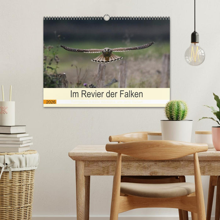 Im Revier der Falken (CALVENDO Wandkalender 2026)