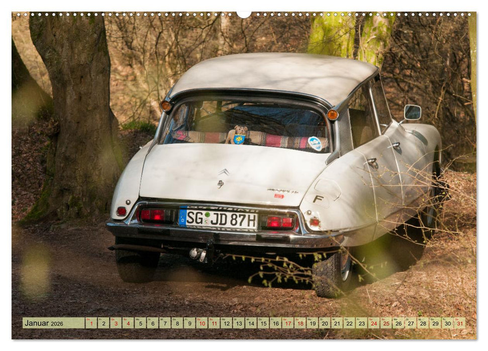 Französische Klassiker - 2CV und D Modell Oldtimer (CALVENDO Wandkalender 2026)