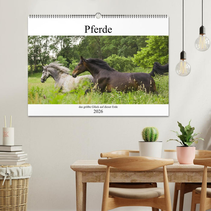 Pferde, das größte Glück auf dieser Erde (CALVENDO Wandkalender 2026)