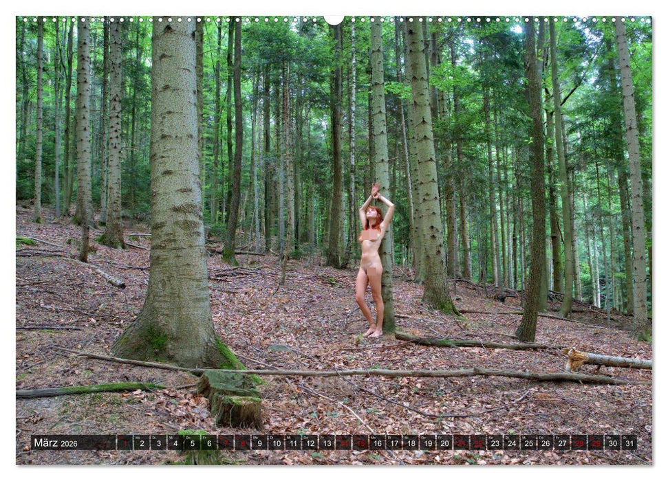 Wald Akte (CALVENDO Wandkalender 2026)