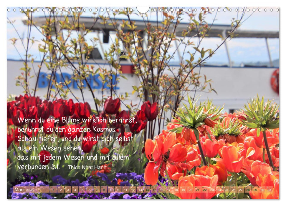 Beuroner Jakobsweg (CALVENDO Wandkalender 2026)