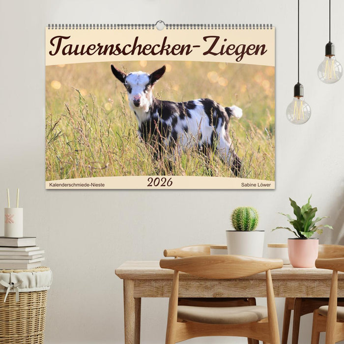 Tauernschecken-Ziegen (CALVENDO Wandkalender 2026)