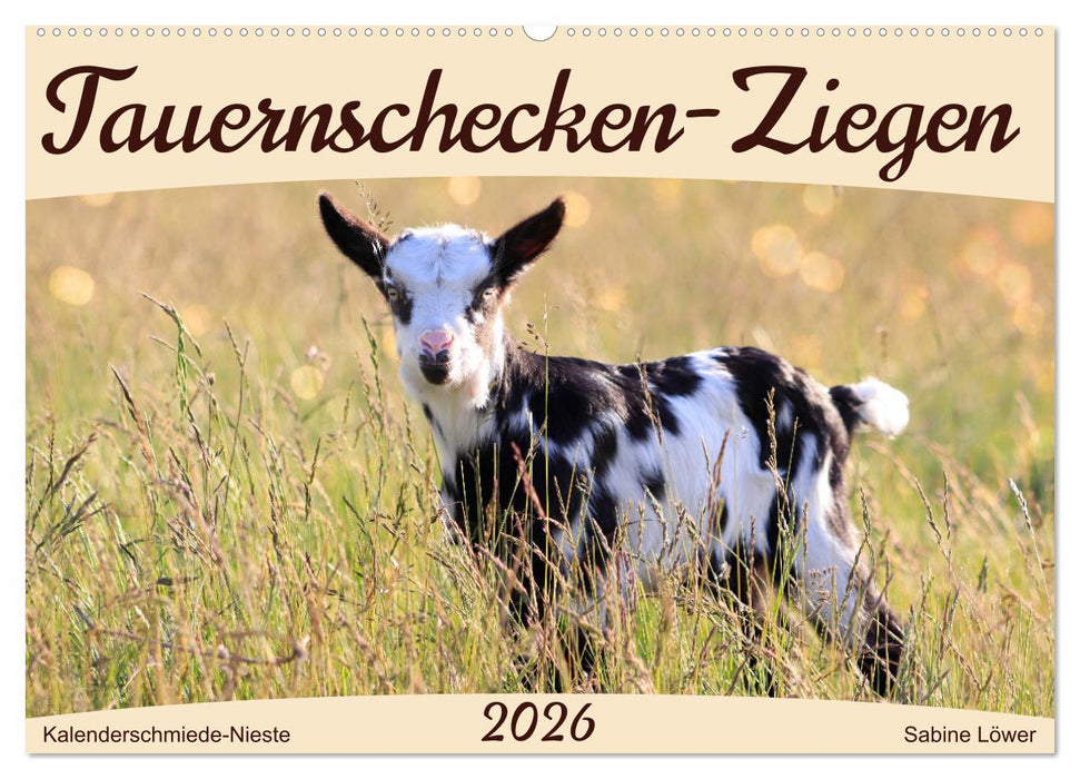 Tauernschecken-Ziegen (CALVENDO Wandkalender 2026)