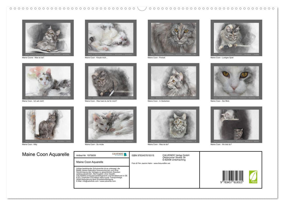 Maine Coon Aquarelle (CALVENDO Wandkalender 2026)