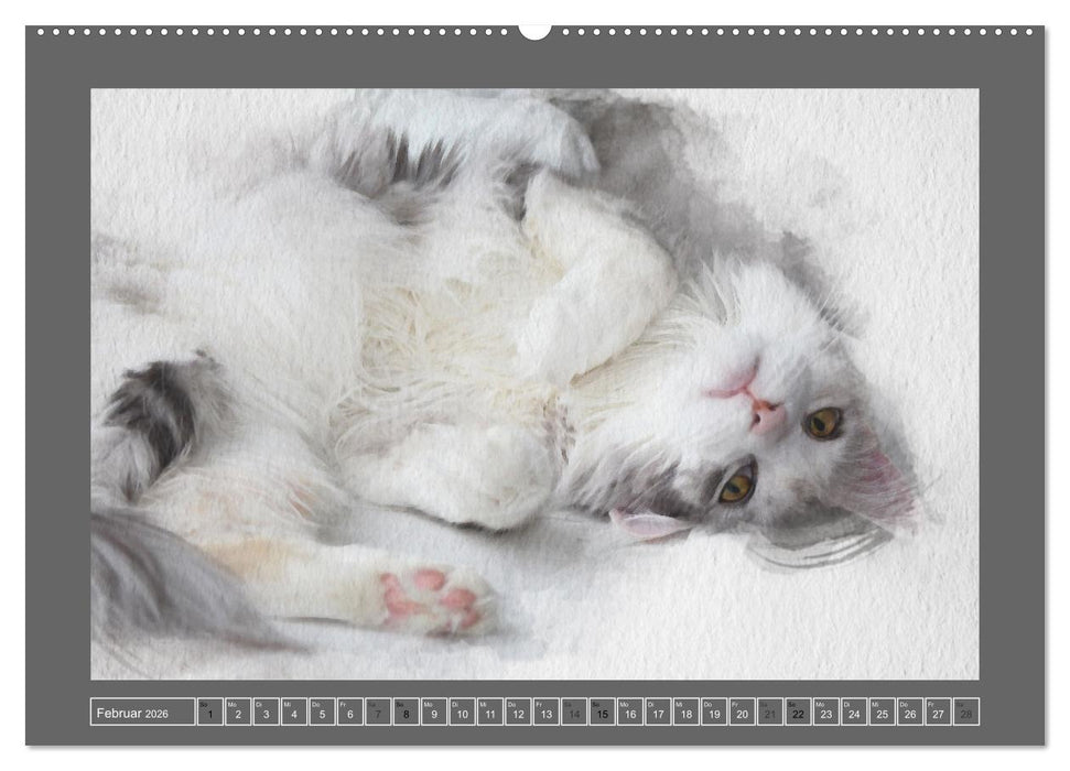 Maine Coon Aquarelle (CALVENDO Wandkalender 2026)