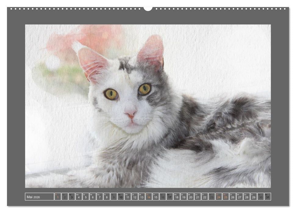 Maine Coon Aquarelle (CALVENDO Wandkalender 2026)