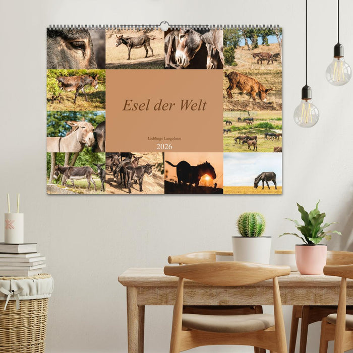Esel der Welt - Lieblings Langohren (CALVENDO Wandkalender 2026)