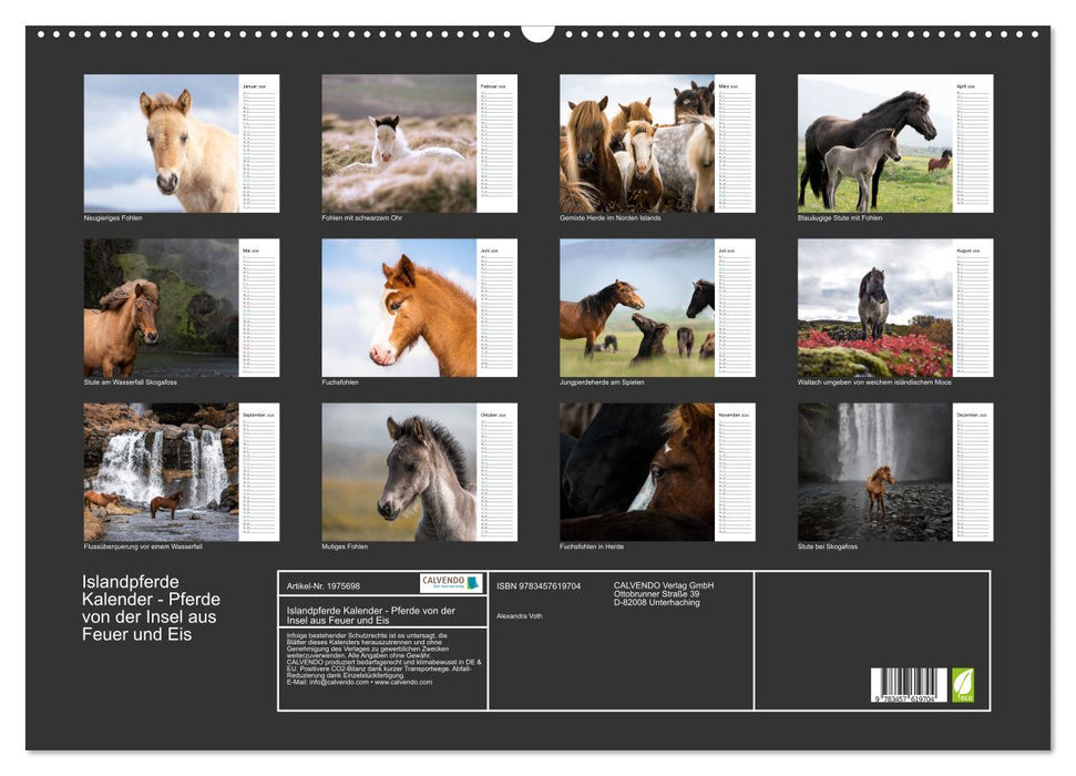 Islandpferde Kalender - Pferde von der Insel aus Feuer und Eis (CALVENDO Wandkalender 2026)