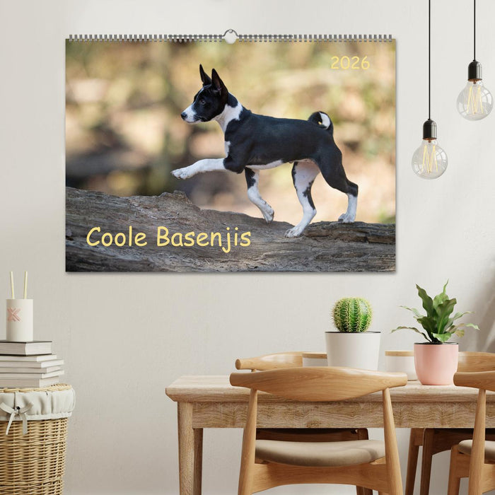 Coole Basenjis (CALVENDO Wandkalender 2026)