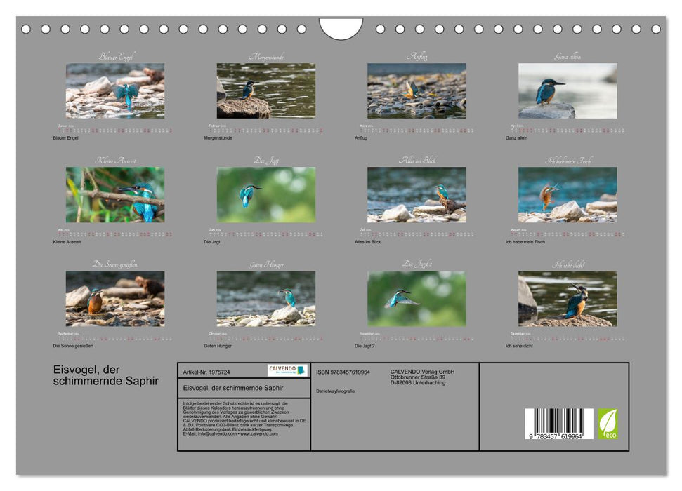 Eisvogel, der schimmernde Saphir (CALVENDO Wandkalender 2026)