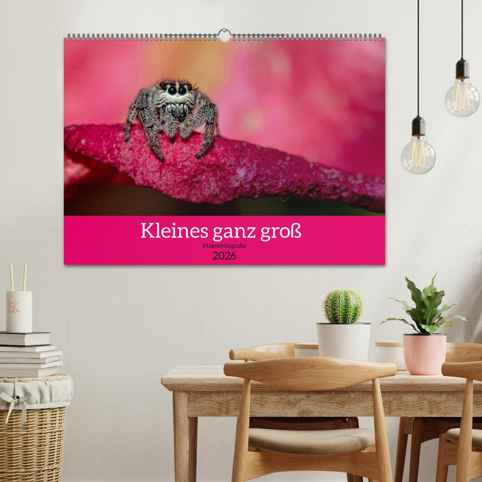 Kleines ganz groß - Makrofotografie (CALVENDO Wandkalender 2026)