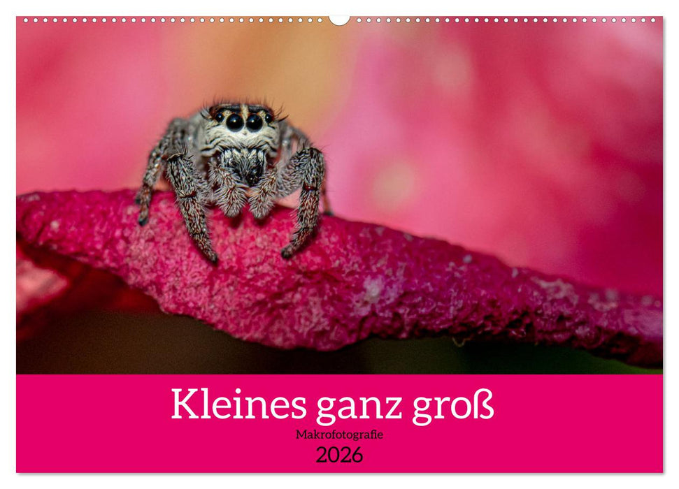 Kleines ganz groß - Makrofotografie (CALVENDO Wandkalender 2026)