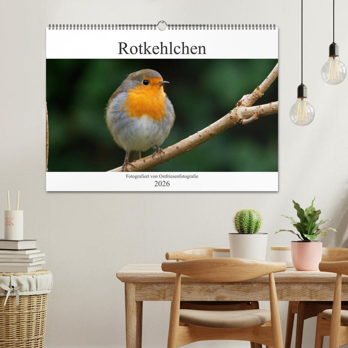 Rotkehlchen - Fotografiert von Ostfriesenfotografie (CALVENDO Wandkalender 2026)
