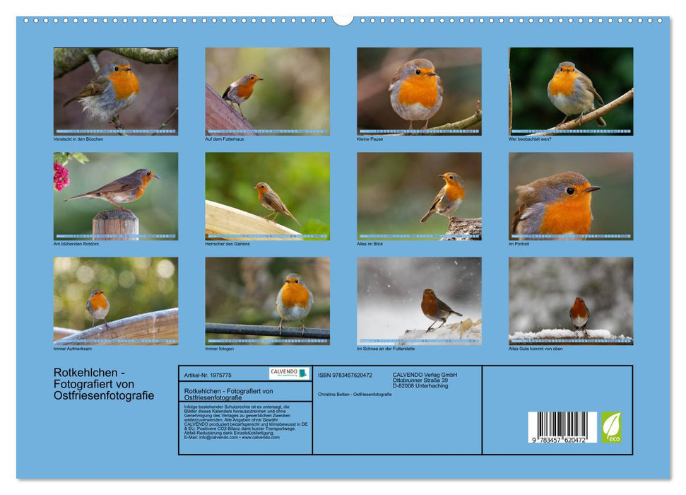 Rotkehlchen - Fotografiert von Ostfriesenfotografie (CALVENDO Wandkalender 2026)