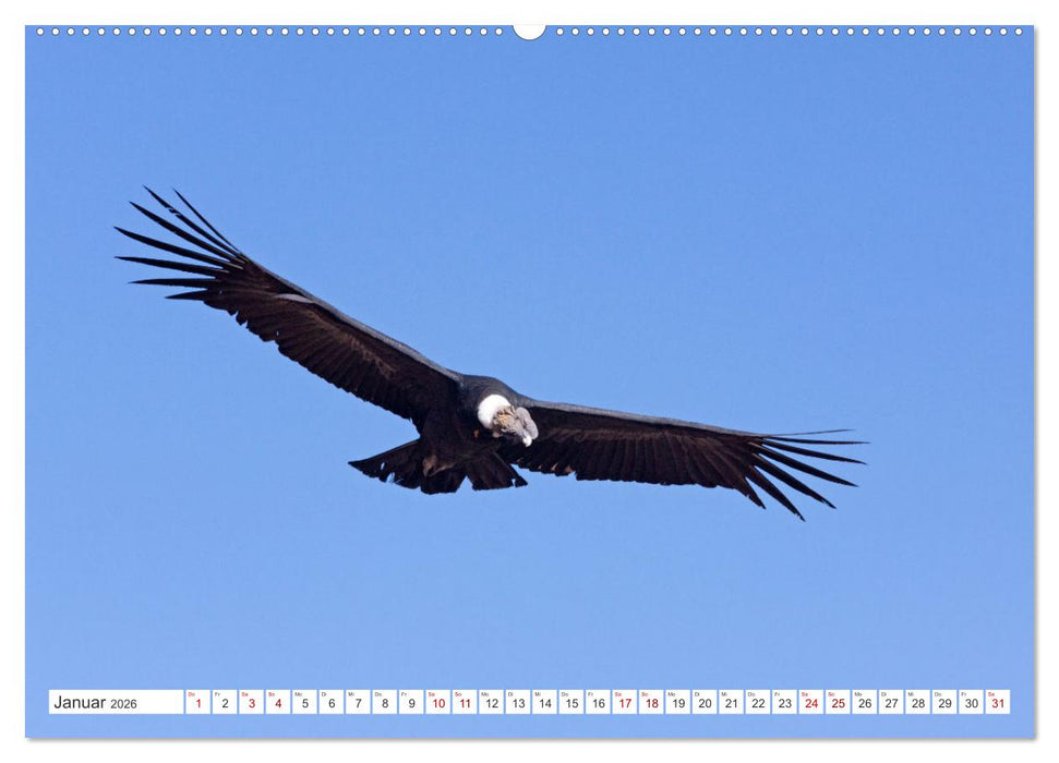 Vielfältiges Peru (CALVENDO Wandkalender 2026)