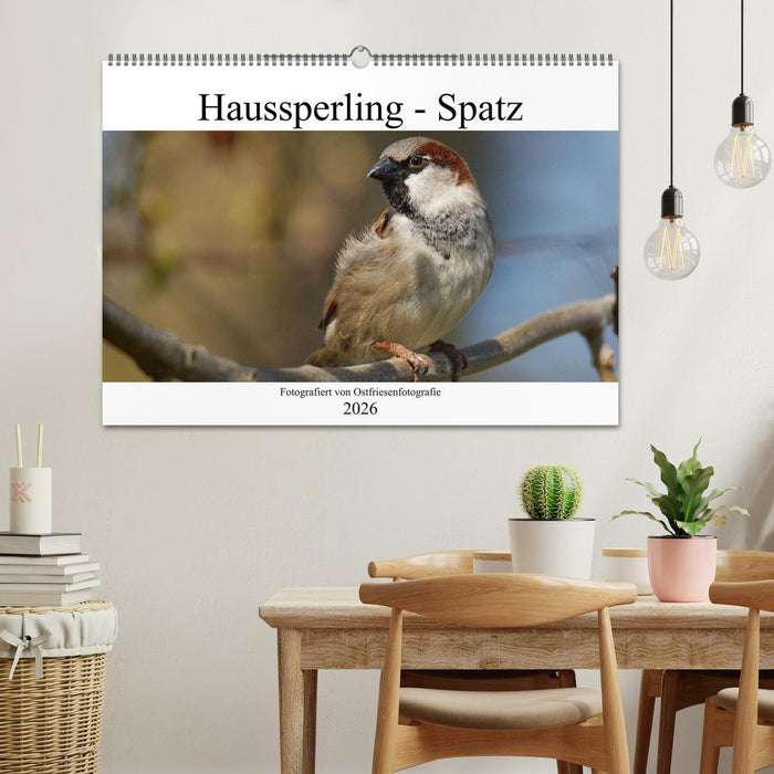 Haussperling - Spatz fotografiert von Ostfriesenfotografie (CALVENDO Wandkalender 2026)