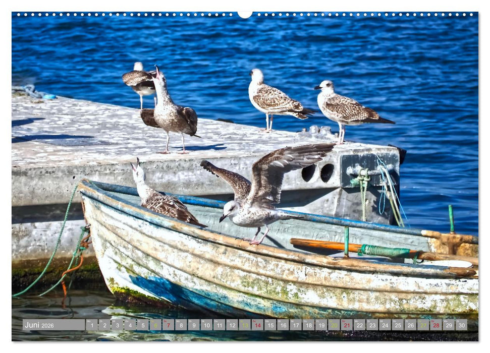 Fischkunst und Fischerglück (CALVENDO Wandkalender 2026)