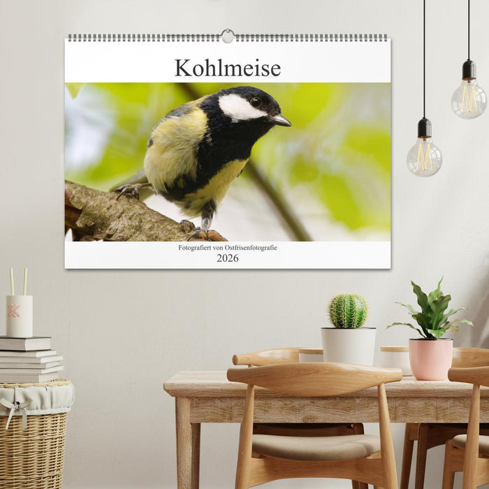 Kohlmeise - Fotografiert von Ostfriesenfotografie (CALVENDO Wandkalender 2026)
