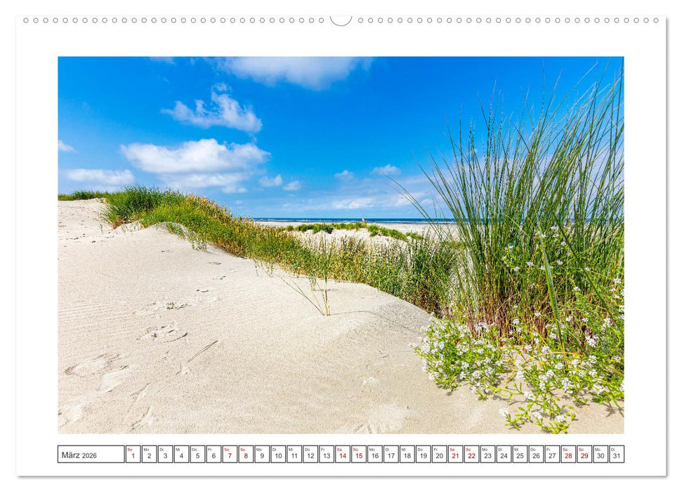 JUIST-LIEBE (CALVENDO Wandkalender 2026)