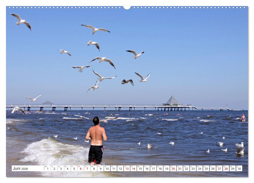 Insel Usedom - Wellen, Strand und mehr (CALVENDO Wandkalender 2026)