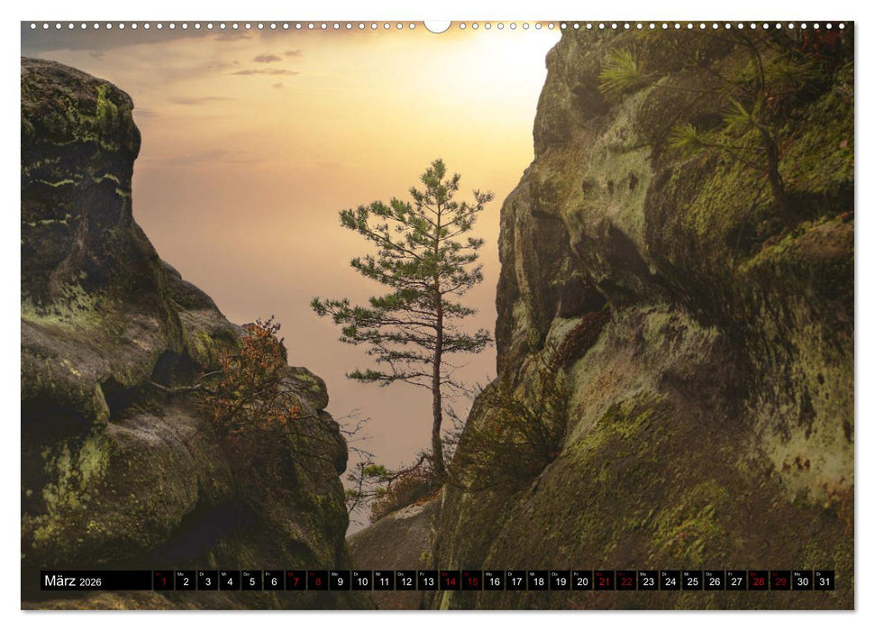 Sachsens Landschaften (CALVENDO Wandkalender 2026)
