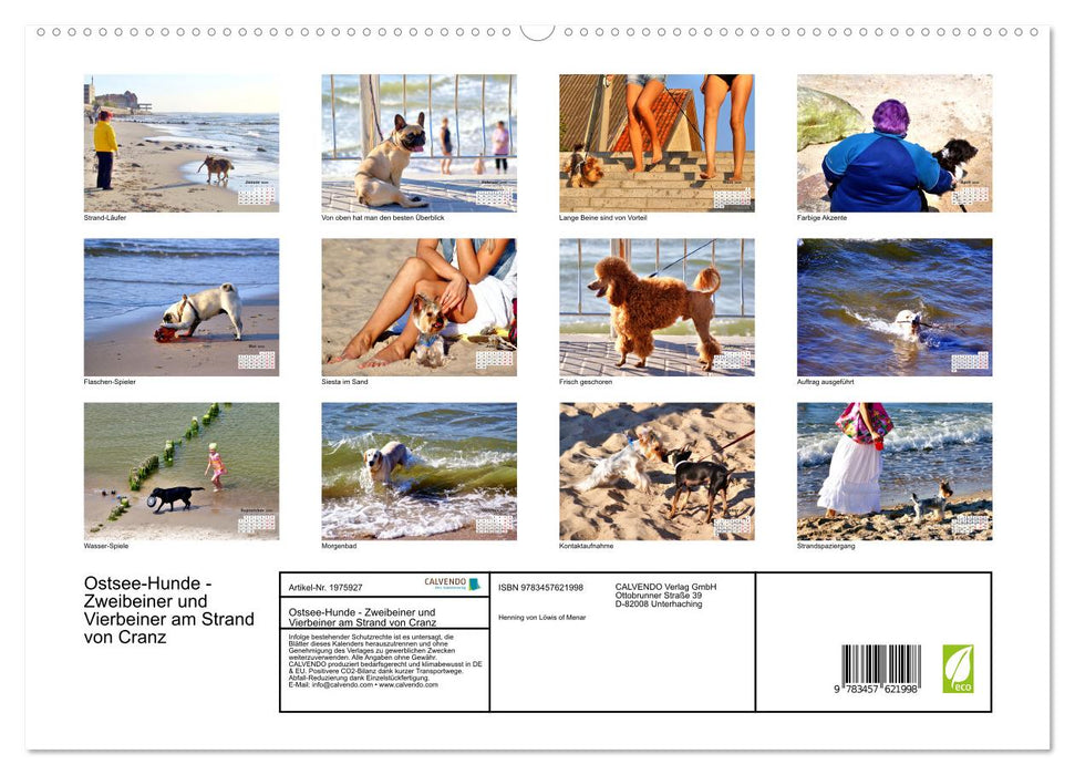 Ostsee-Hunde - Zweibeiner und Vierbeiner am Strand von Cranz (CALVENDO Wandkalender 2026)