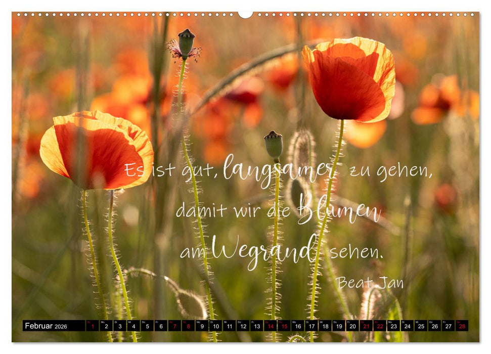 Bilder und Texte für die Seele (CALVENDO Wandkalender 2026)