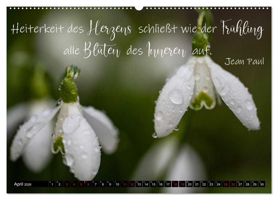 Bilder und Texte für die Seele (CALVENDO Wandkalender 2026)