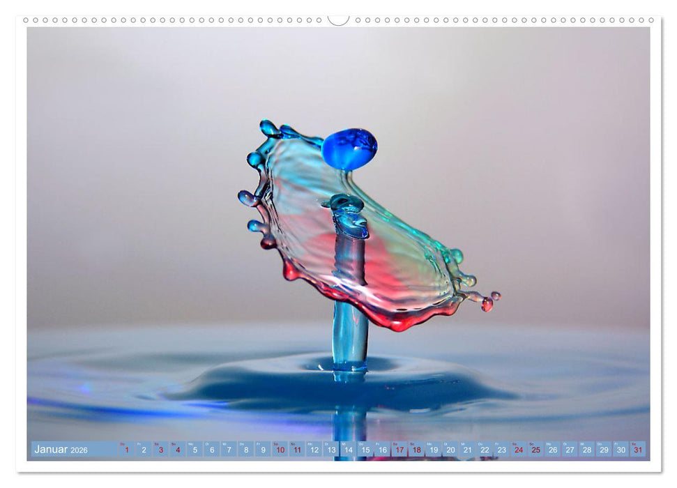 Getropft (CALVENDO Wandkalender 2026)