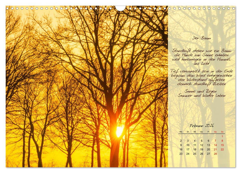 Einfach sonnige Tage (CALVENDO Wandkalender 2026)