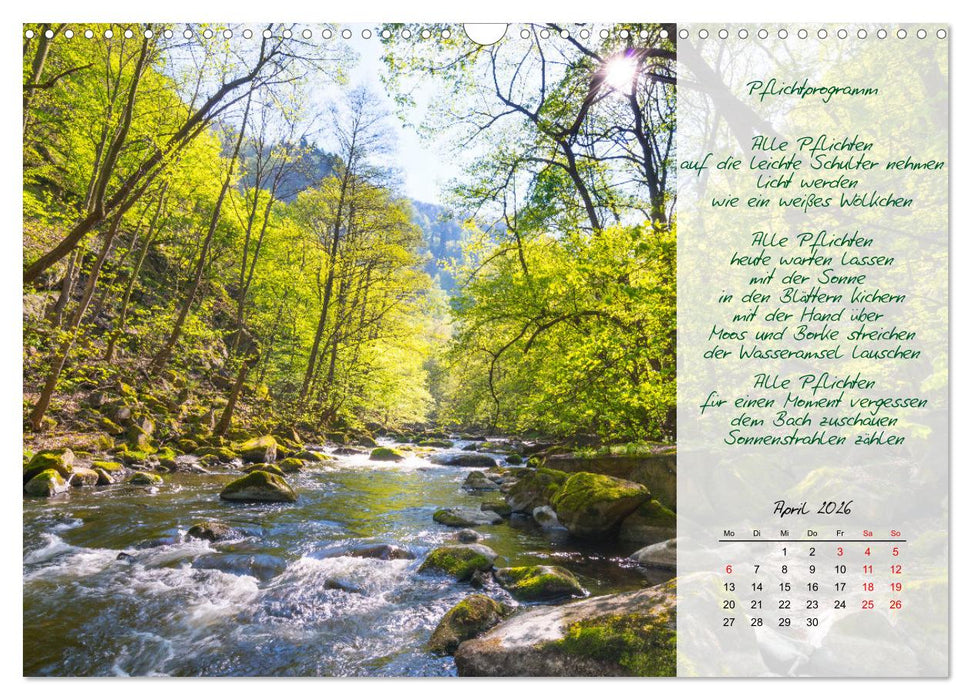 Einfach sonnige Tage (CALVENDO Wandkalender 2026)