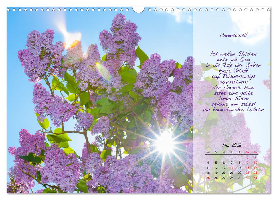 Einfach sonnige Tage (CALVENDO Wandkalender 2026)