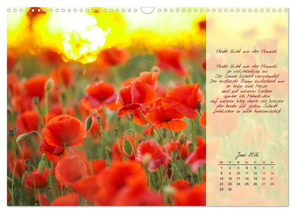 Einfach sonnige Tage (CALVENDO Wandkalender 2026)