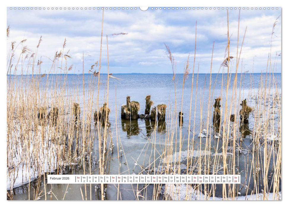 Region Ueckermünde (CALVENDO Wandkalender 2026)