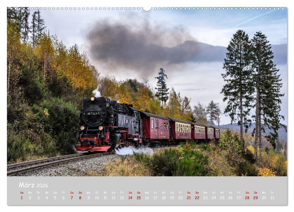 Harzer Impressionen - Natur, Kultur und Geschichte (CALVENDO Wandkalender 2026)