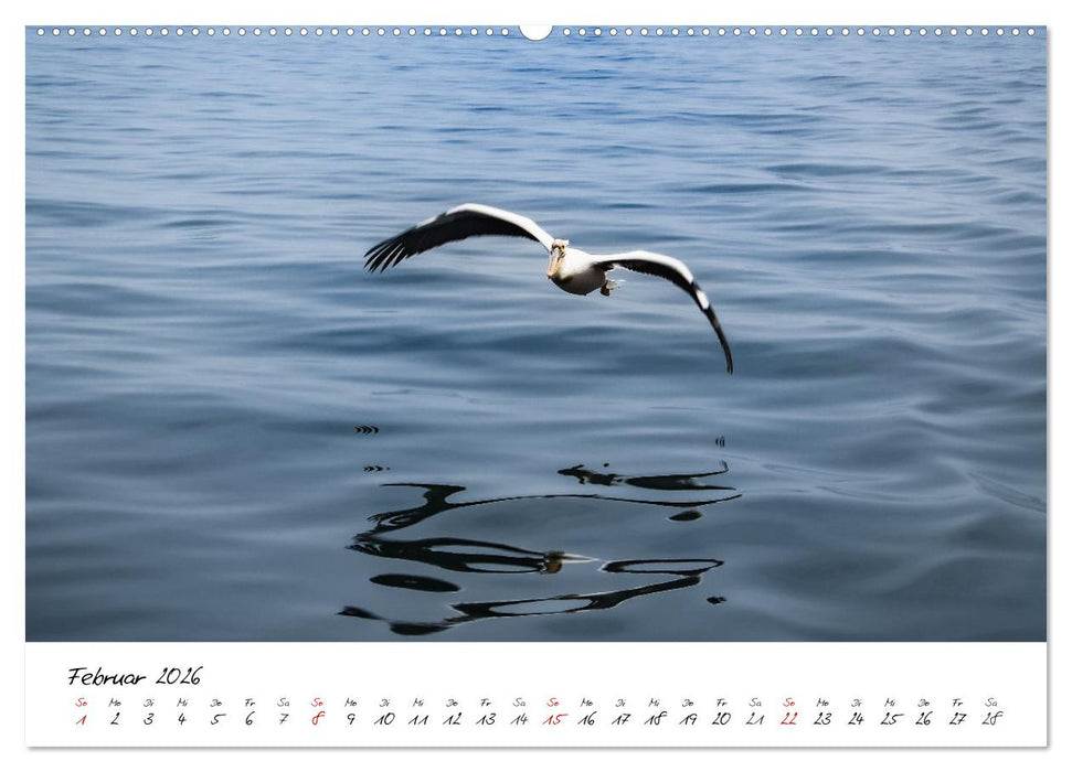 X Tage in Namibia – Ein Roadtrip im Süden von Afrika (CALVENDO Wandkalender 2026)