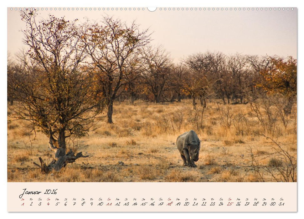 Namibia - Vom Sossusvlei bis zum Etosha Nationalpark (CALVENDO Wandkalender 2026)