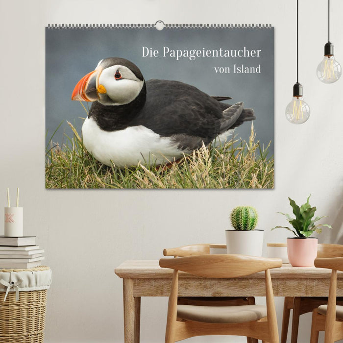 Die Papageientaucher von Island (CALVENDO Wandkalender 2026)