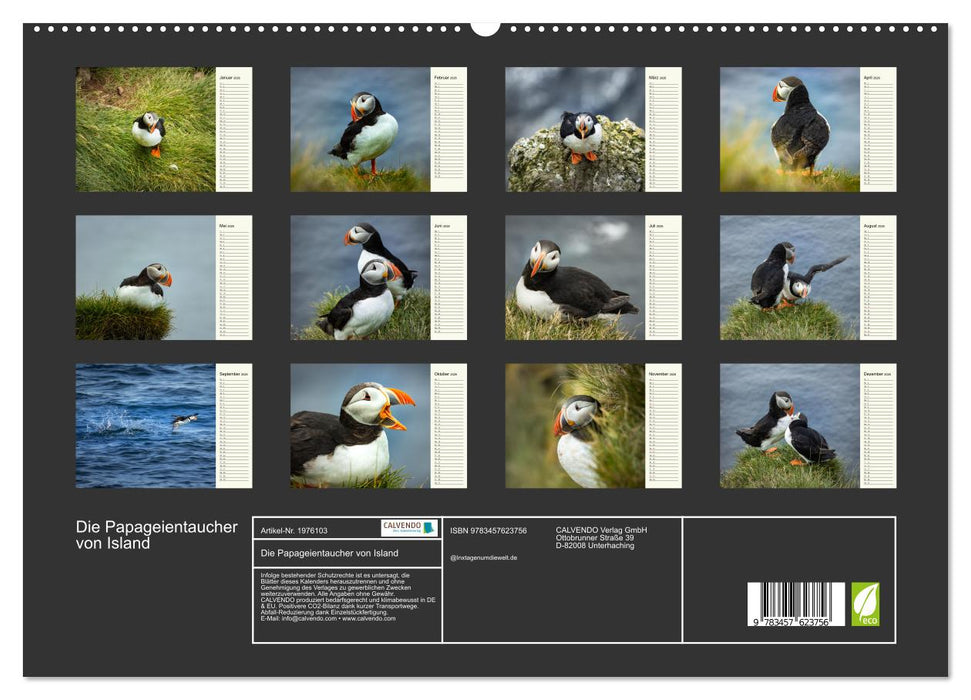 Die Papageientaucher von Island (CALVENDO Wandkalender 2026)
