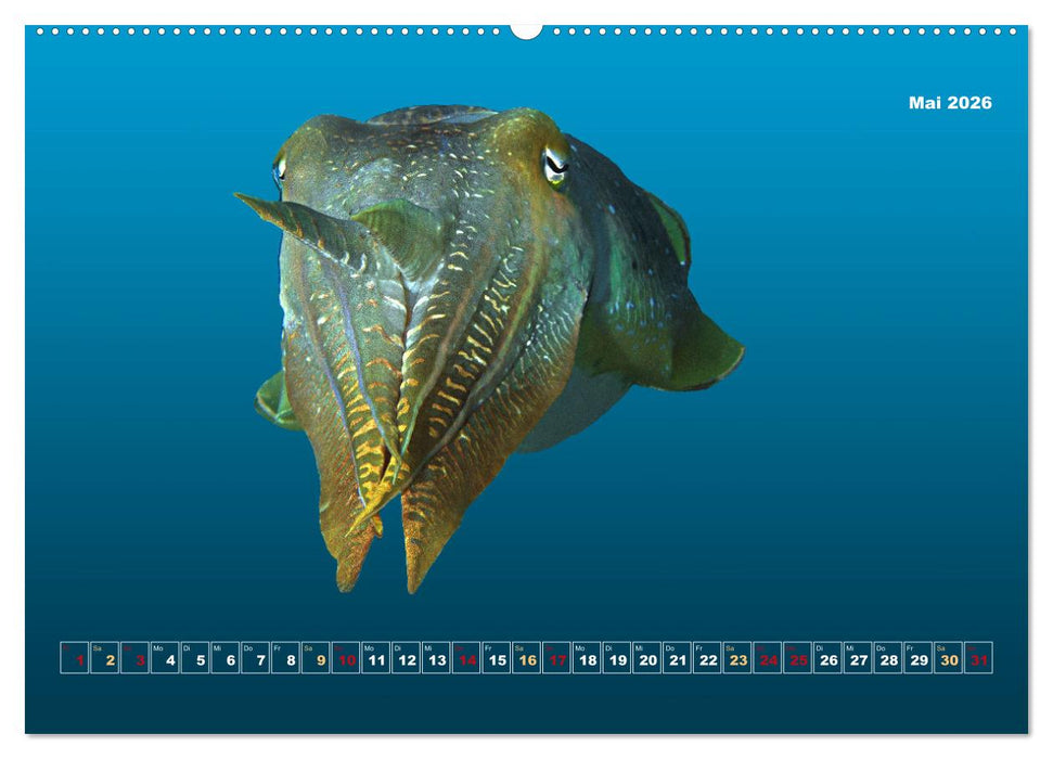 Unterwasser-Galerie (CALVENDO Wandkalender 2026)