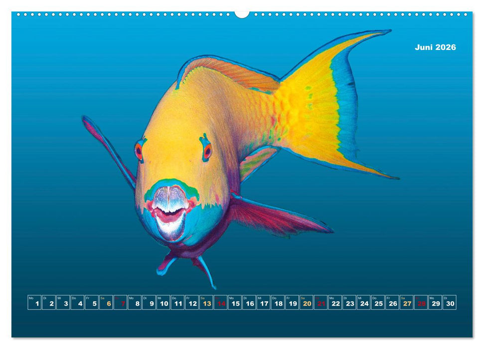 Unterwasser-Galerie (CALVENDO Wandkalender 2026)