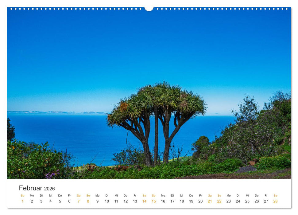 La Palma - Isla Bonita - Landschaften der Kanarischen Insel (CALVENDO Wandkalender 2026)
