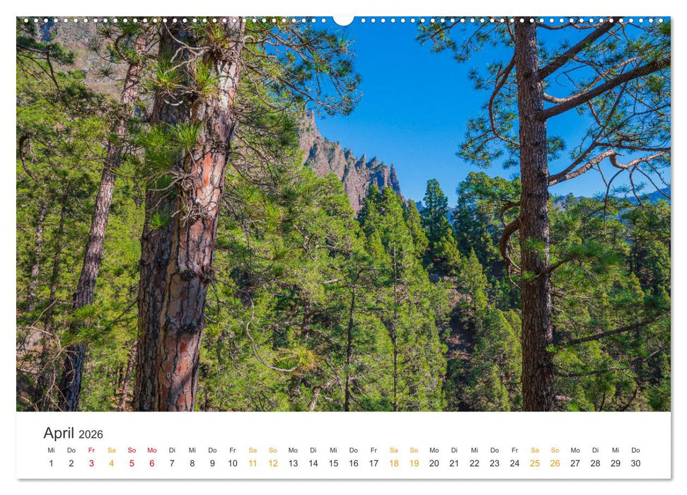 La Palma - Isla Bonita - Landschaften der Kanarischen Insel (CALVENDO Wandkalender 2026)