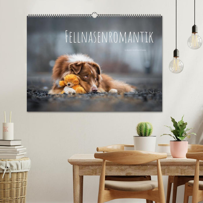 Fellnasenromantik (CALVENDO Wandkalender 2026)