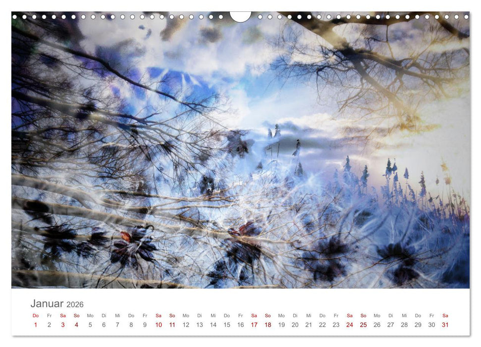 Parallelwelten (CALVENDO Wandkalender 2026)