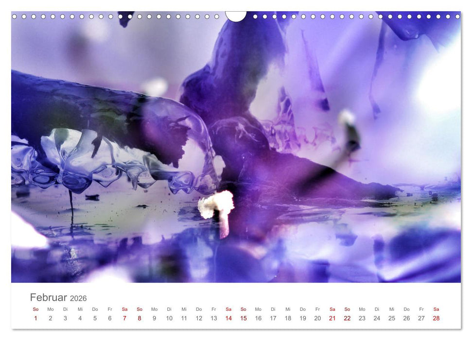 Parallelwelten (CALVENDO Wandkalender 2026)