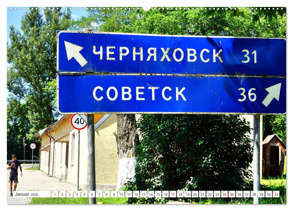 Alle Störche sind schon da - Ein Dorf in Ostpreußen und seine Sommergäste (CALVENDO Wandkalender 2026)