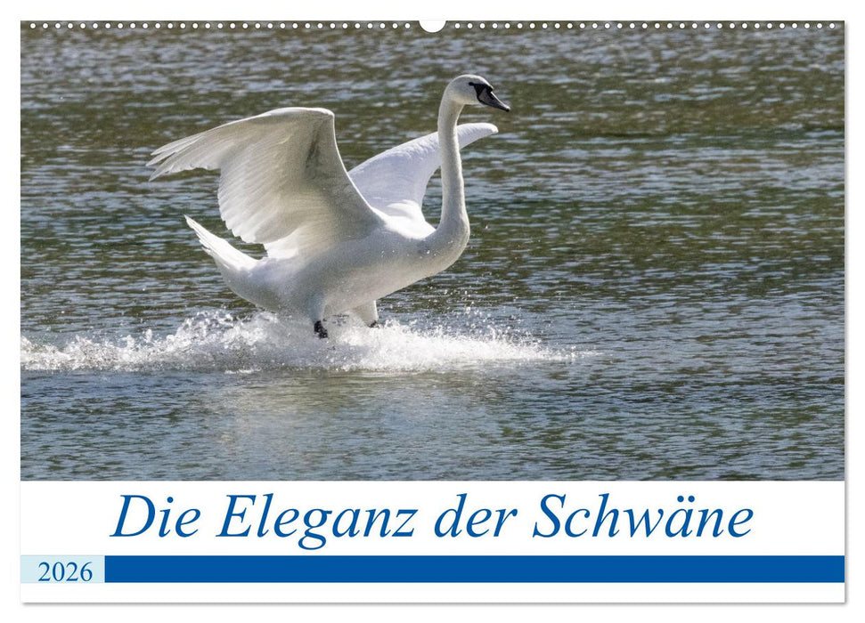 Die Eleganz der Schwäne (CALVENDO Wandkalender 2026)